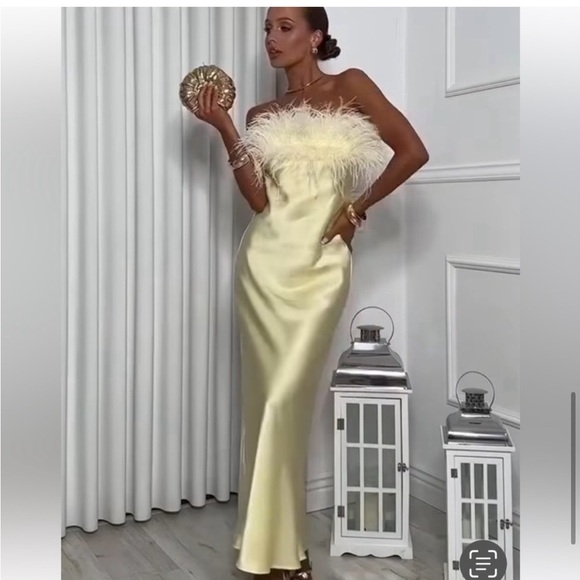 NWT ZARA  VIRAL 2025 COLLECTION FEATHERED SATIN  DRESS SIZE S and L
🚨FIRM PRICE - Picture 12 of 16